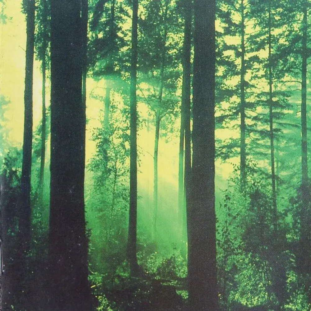 Thy Serpent "Forests Of Witchery" CD 