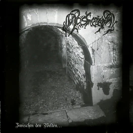 Aaskereia ‎"Zwischen Den Welten..." CD