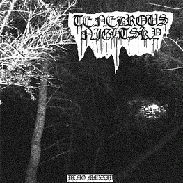 Tenebrous Nightsky "Demo MMXXIV" CD 