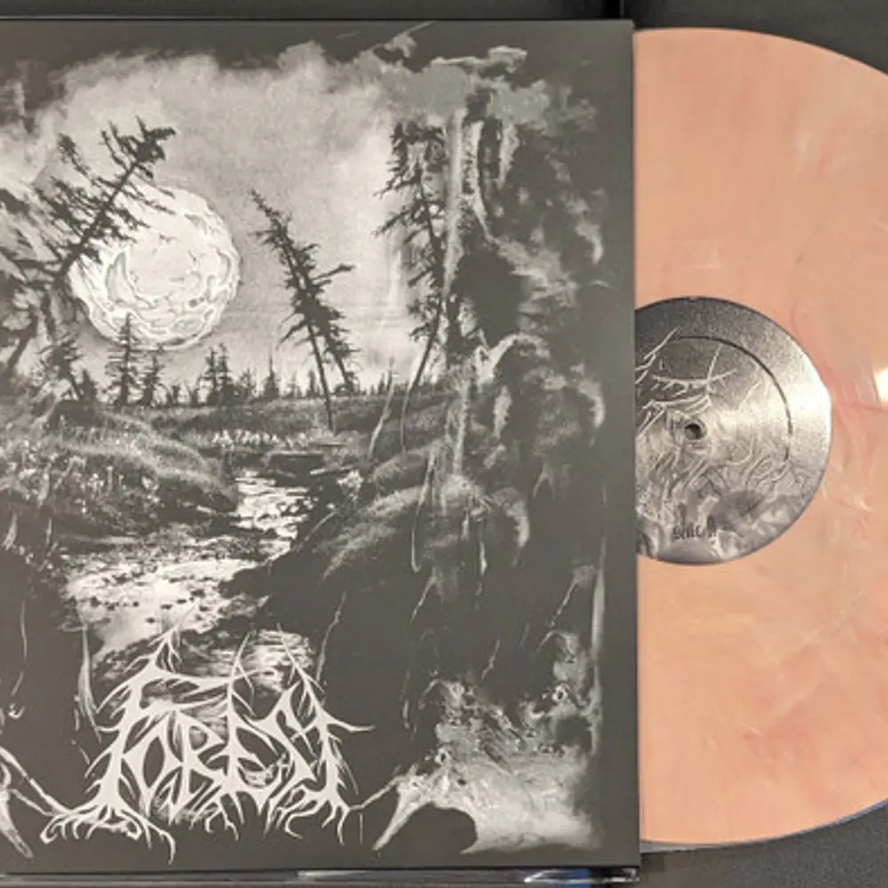 Forest "Forest" LP Colour vinyl!!