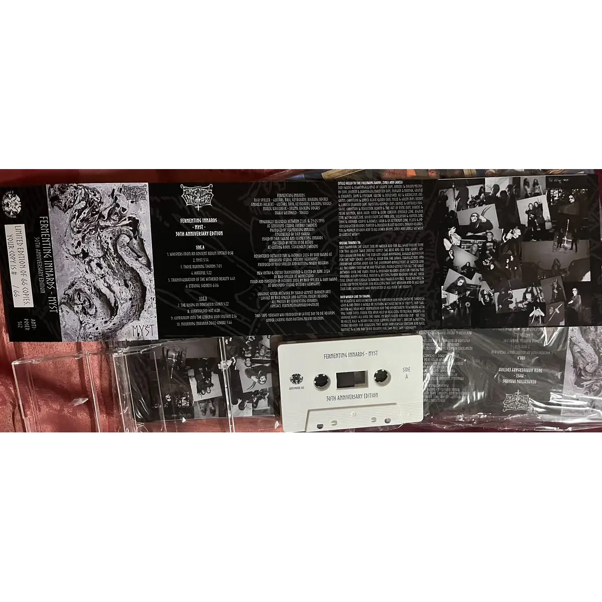 Fermenting Innards Myst Cassette