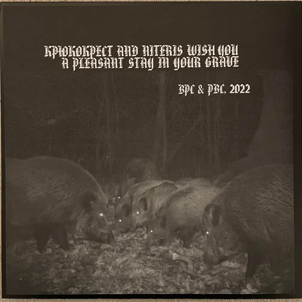 Niteris / Крюкокрест "Niteris / Крюкокрест" Split LP Black vinyl!!