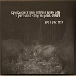 Niteris / Крюкокрест "Niteris / Крюкокрест" Split LP Black vinyl!!