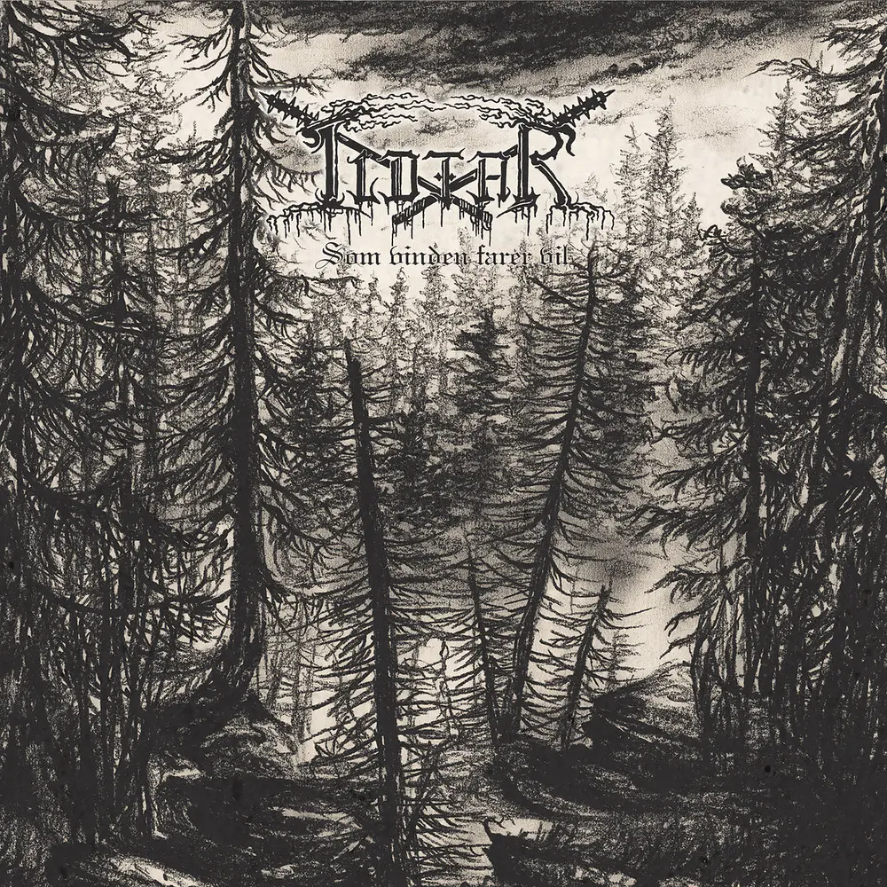 Ildfar "Som Vinden Farer Vil" CD Digipack 