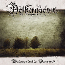 Aethernaeum "Wanderungen Durch Den Daemmerwald" CD 