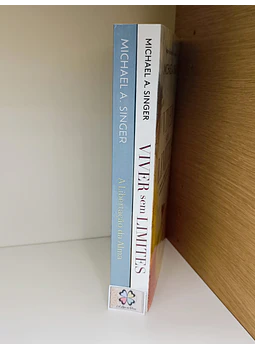 LIVROS de MICHAEL A. SINGER