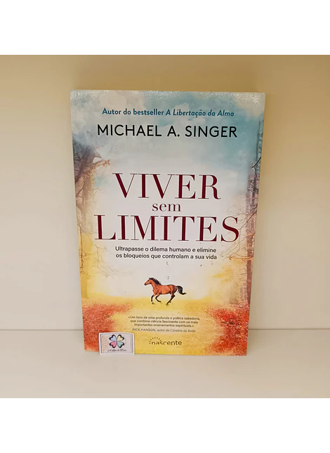 LIVROS de MICHAEL A. SINGER