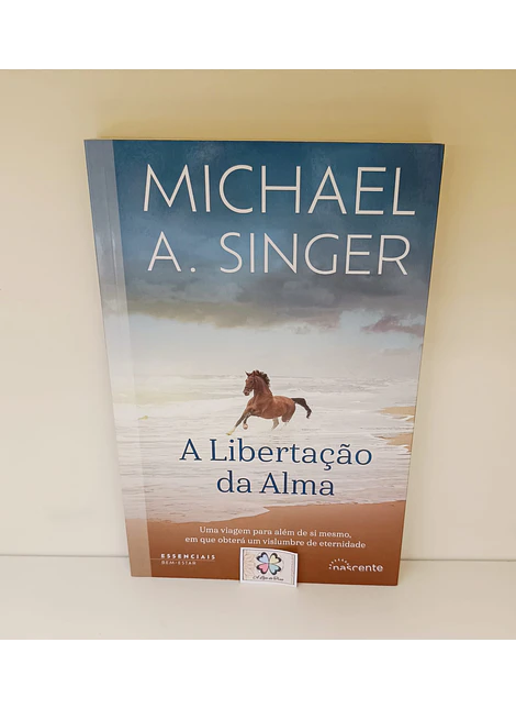 LIVROS de MICHAEL A. SINGER