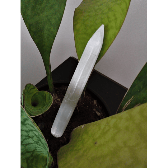 Bastão de selenite 20 cm