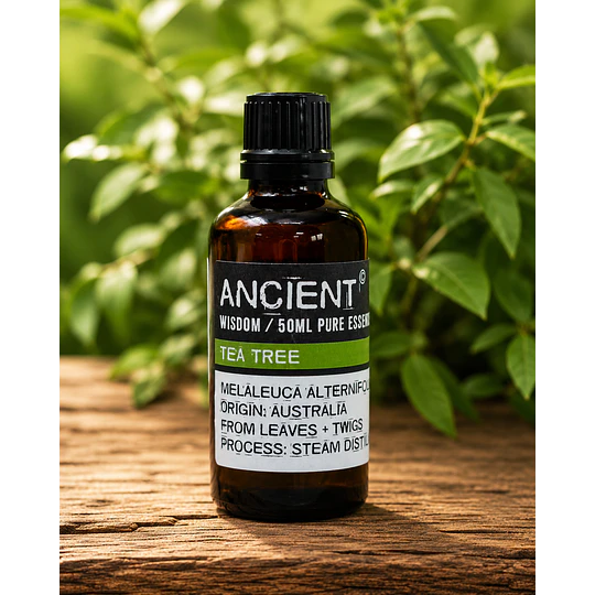Óleo essencial de árvore do chá 50 ml