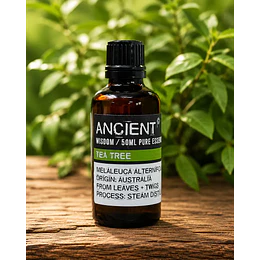 Óleo essencial de árvore do chá 50 ml