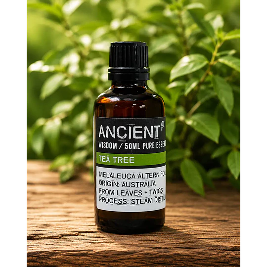 Óleo essencial de árvore do chá 50 ml