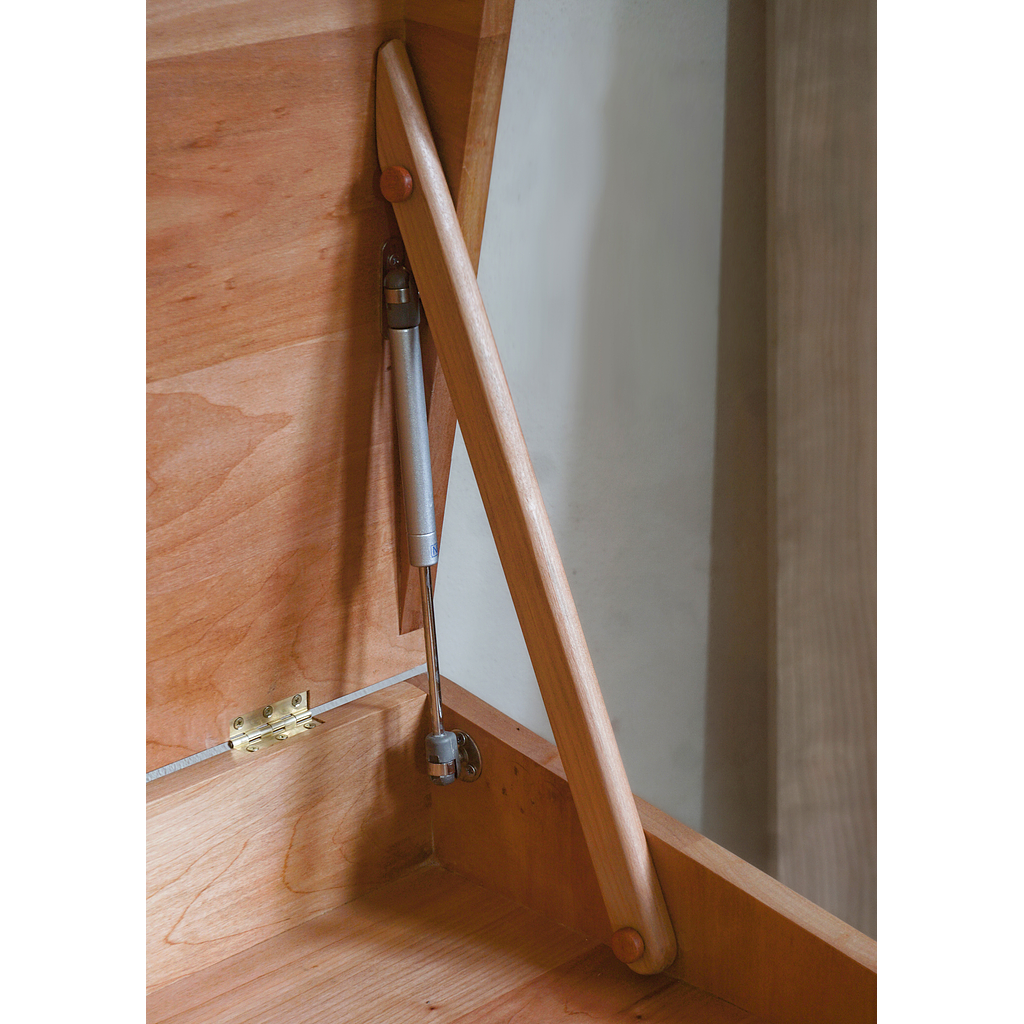 Escritorio Abatible Raulí