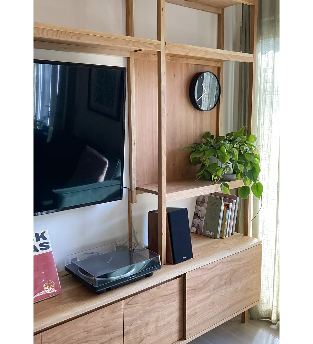 Librero + Rack para Tv y Vinilos