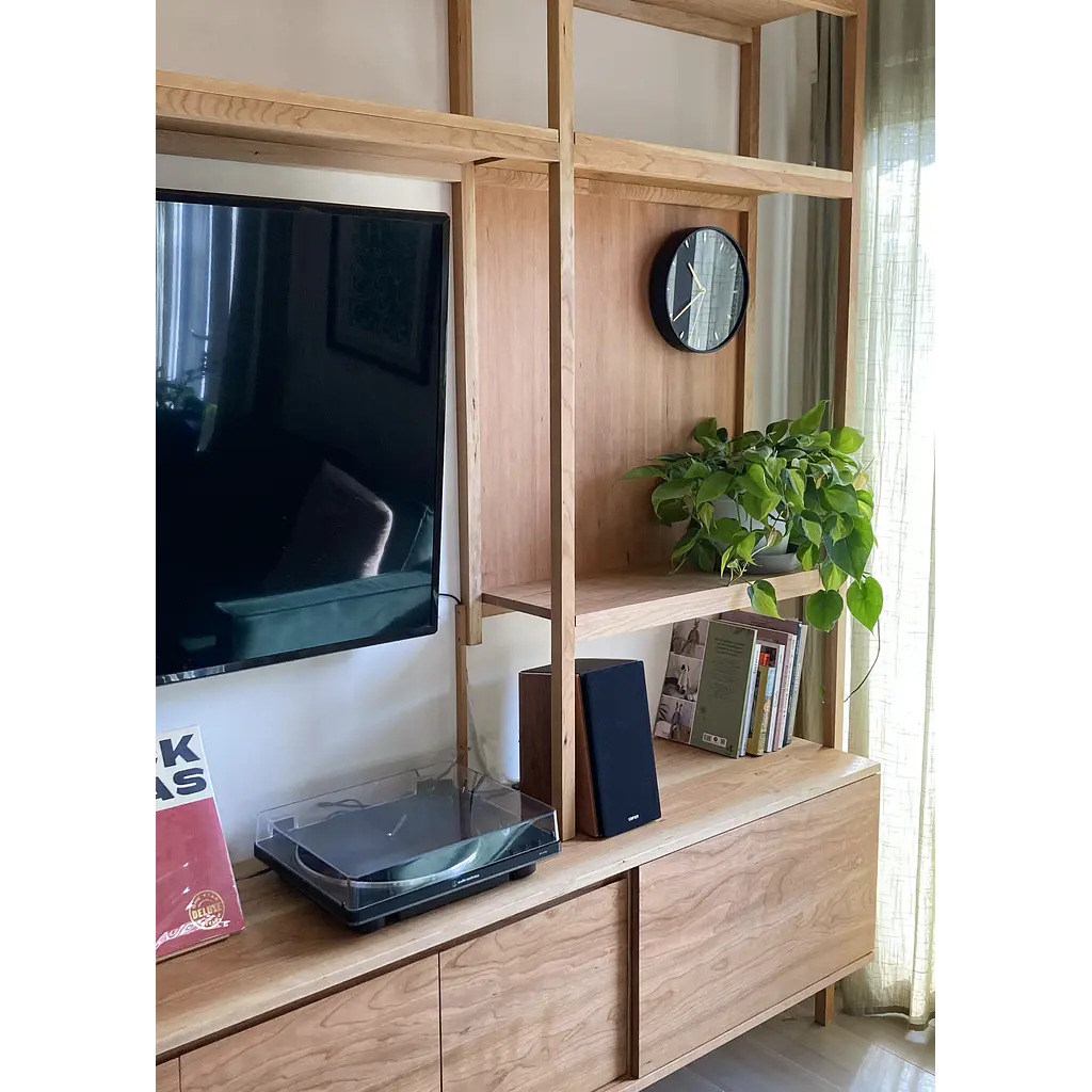 Librero + Rack para Tv y Vinilos