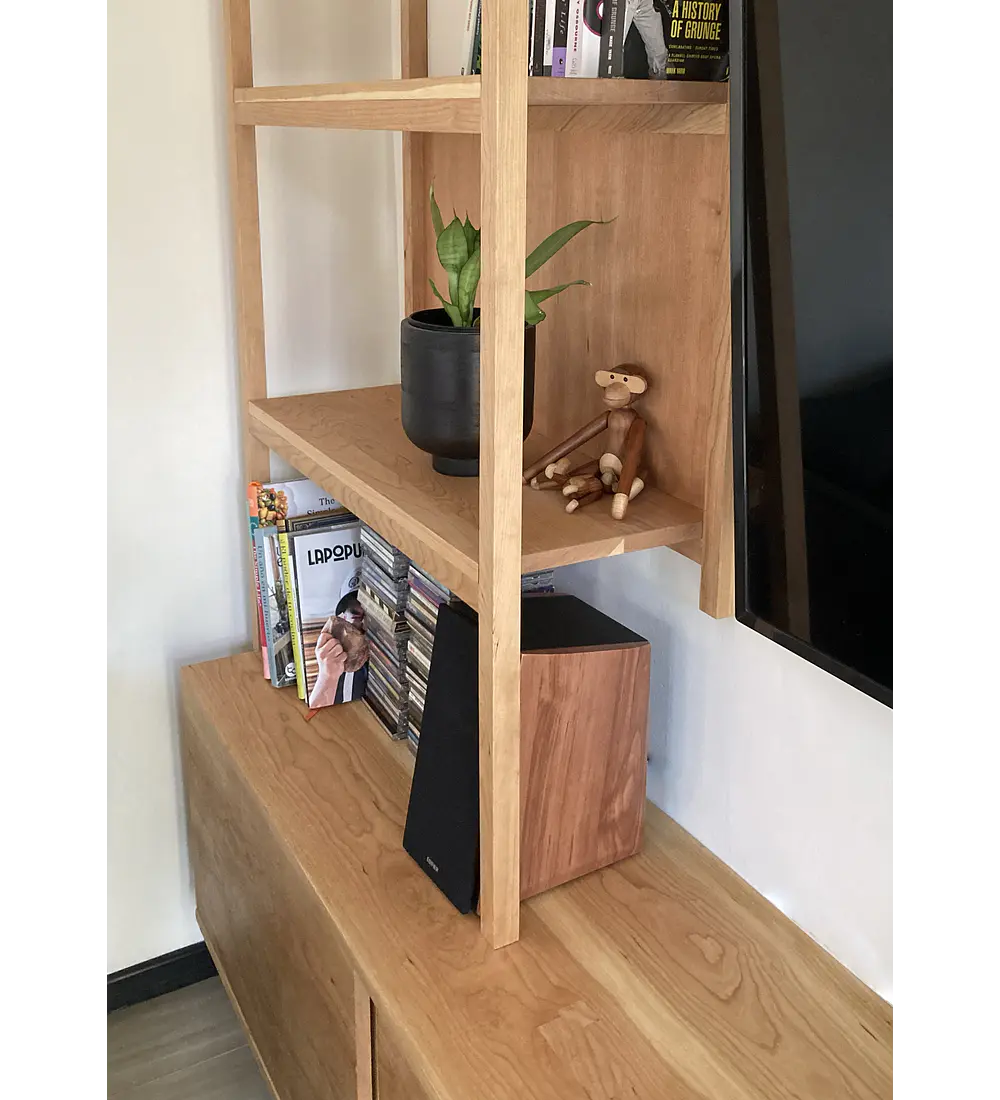 Librero + Rack para Tv y Vinilos