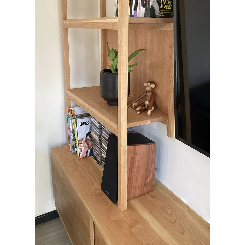 Librero + Rack para Tv y Vinilos
