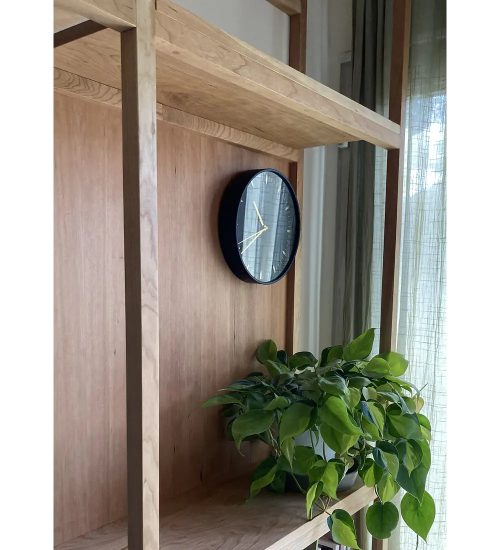 Librero + Rack para Tv y Vinilos
