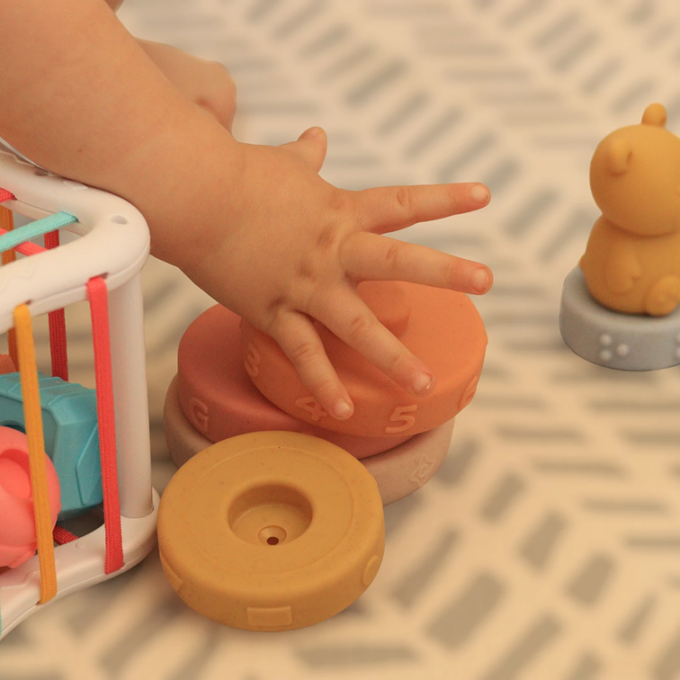 Box Primer Año Premium 5