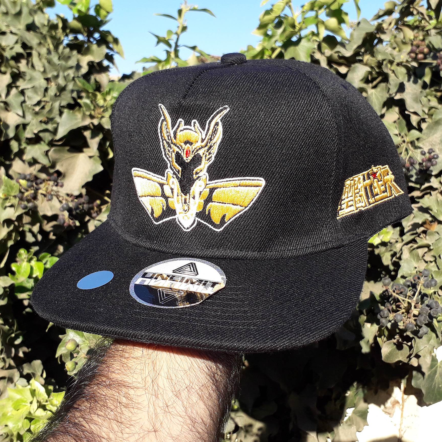 Gorro Virgo, Shaka 1