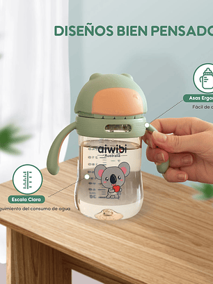 Botella de Agua 300mL