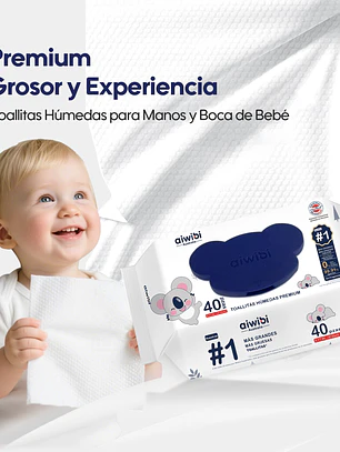 Caja de 20 Paquetes de Toallitas Húmedas Premium de LUJO(40 Pcs)