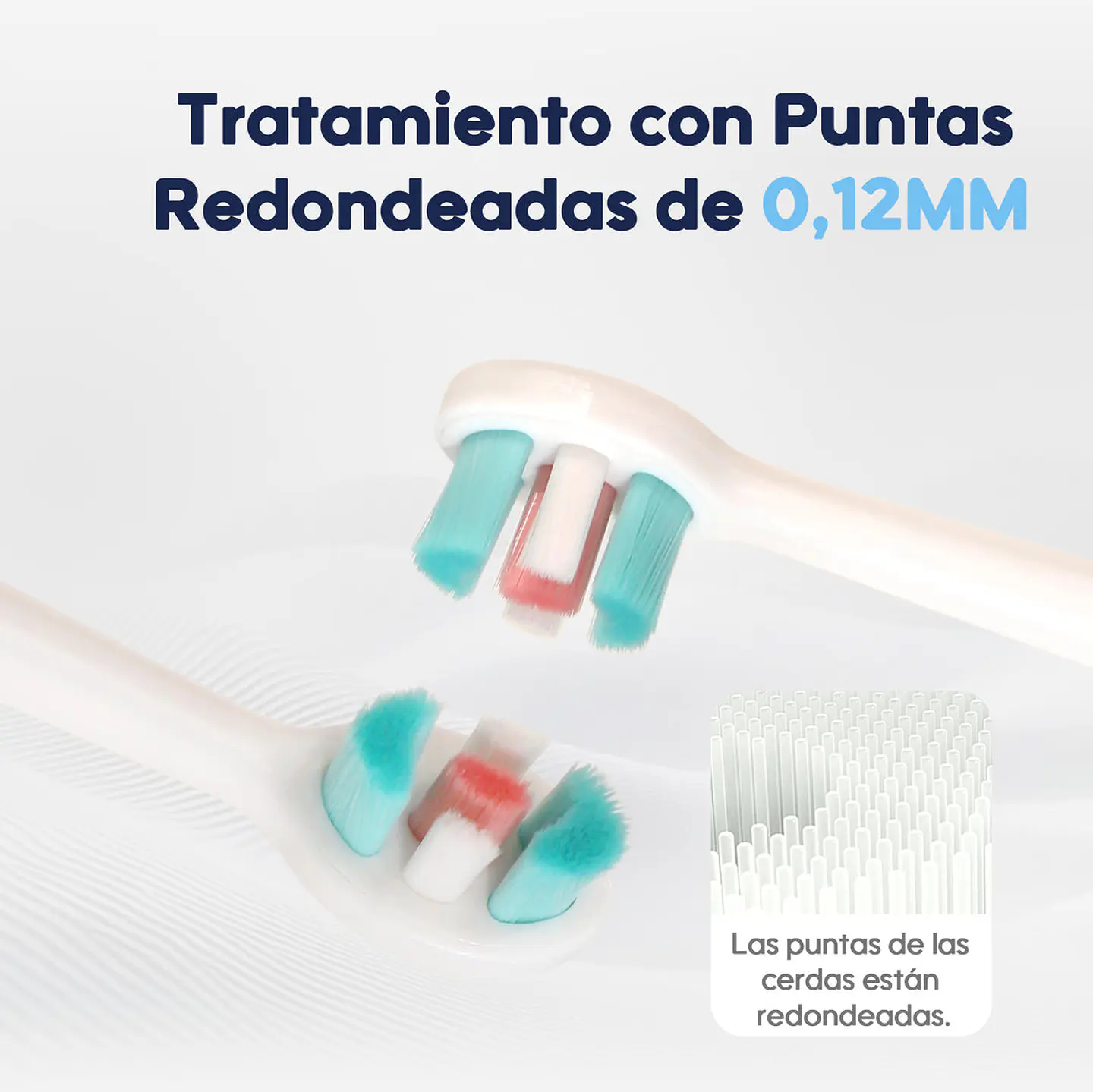 Cepillo de dientes +1 año  1
