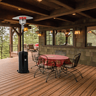 Estufa Segunda Seleccion a Gas Exterior Terraza SETAX Negra 12