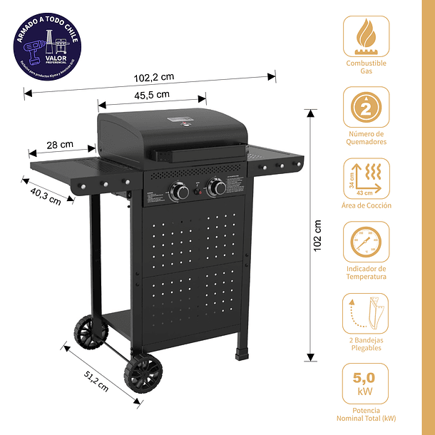 Parrilla Gas Vermont 2B Black 2