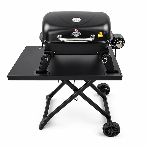 Parrilla Exterior - Interior Electrica E1B Aspen Black con Carro  3