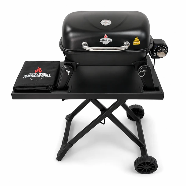 Parrilla Exterior - Interior Eléctrica E1B Aspen Black con Carro + Funda S 1