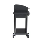 Parrilla Gas Phoenix 3B Black 6
