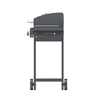 Parrilla Gas Dallas 2B Black + Funda XS 11