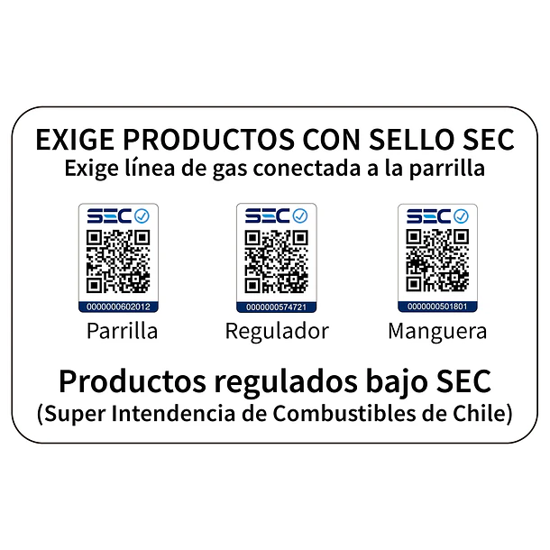 Parrilla Gas Dallas 2B Black + Funda XS 13