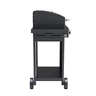 Parrilla Gas Phoenix 3B Black + Funda XS 10