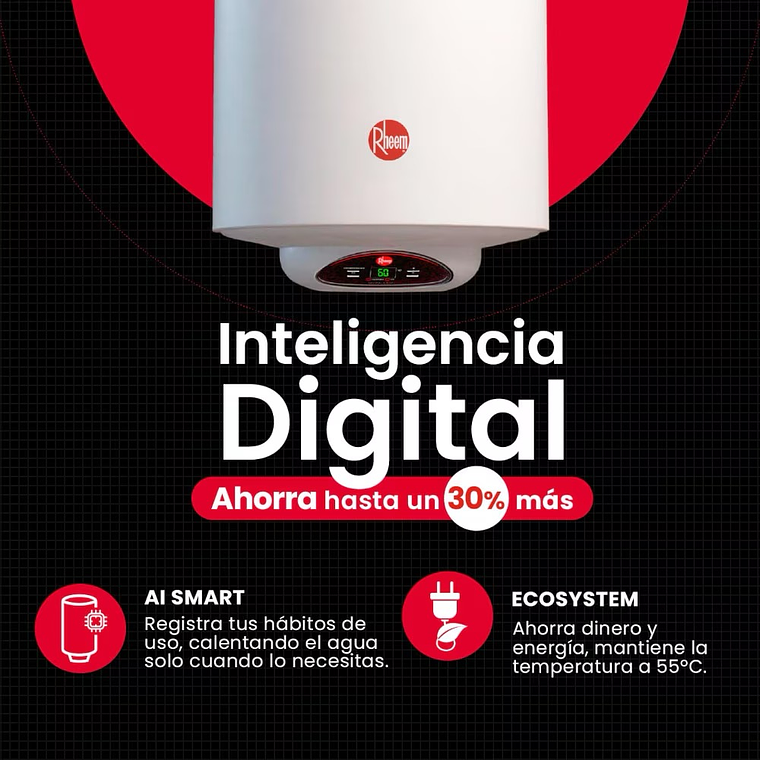 Termo eléctrico mural 100lt Rheem 5