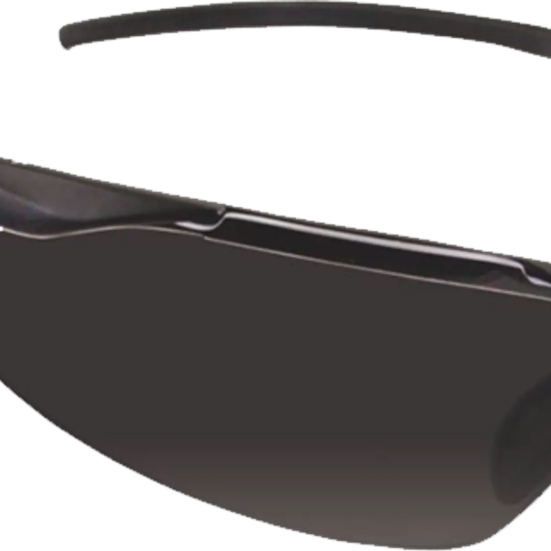 LENTE MSA ERGO LYNX gris/claro 1