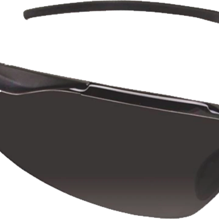LENTE MSA ERGO LYNX gris/claro 1