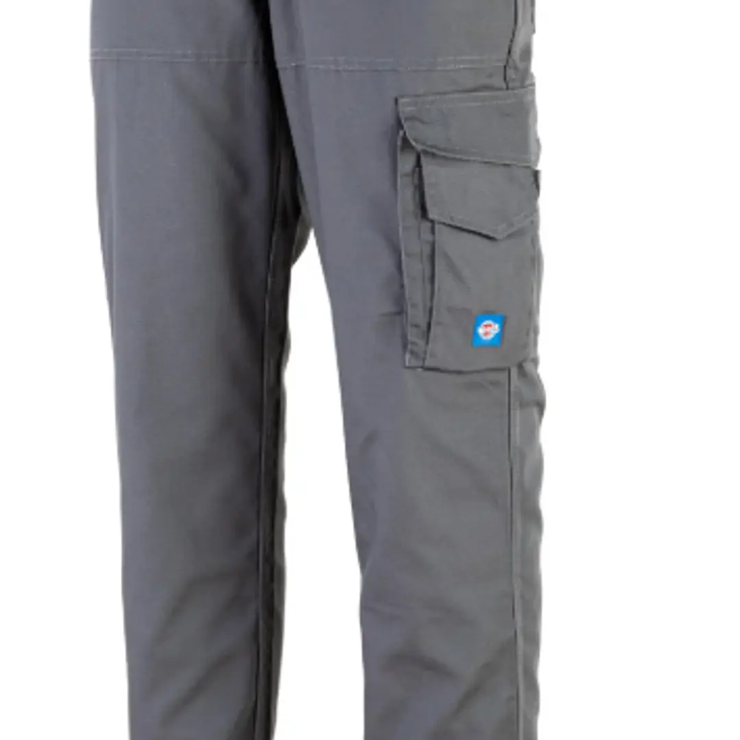 PANTALON CARGO ALERCE GRIS VARON 1