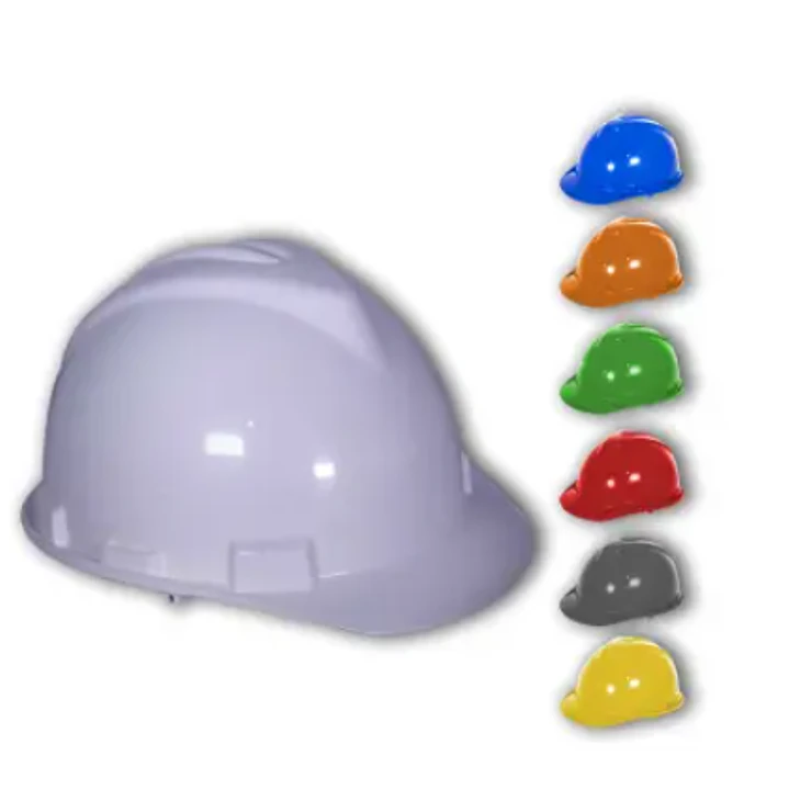 CASCO ECONOMICO 1