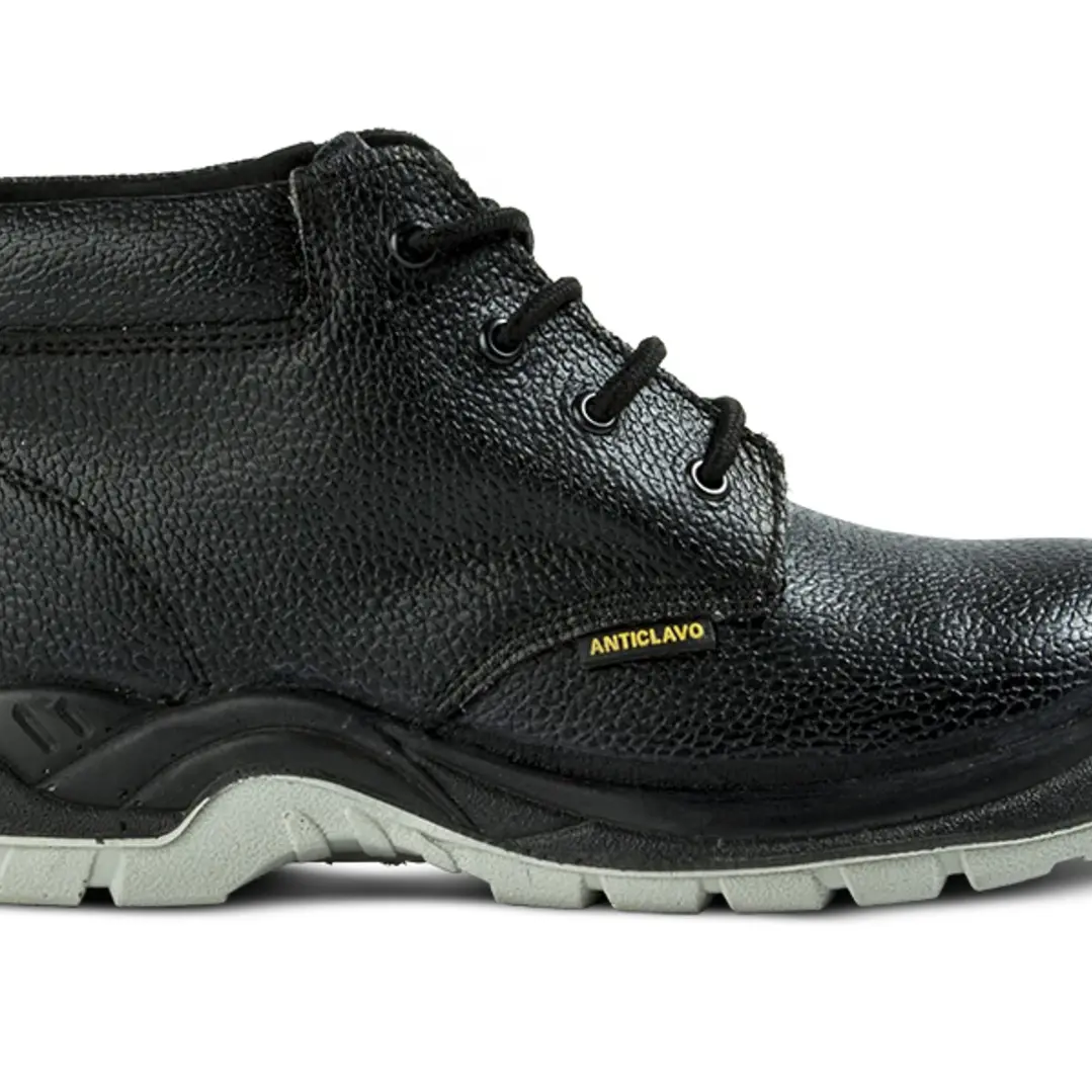 BOTIN PUELCHE ANTICLAVO 2