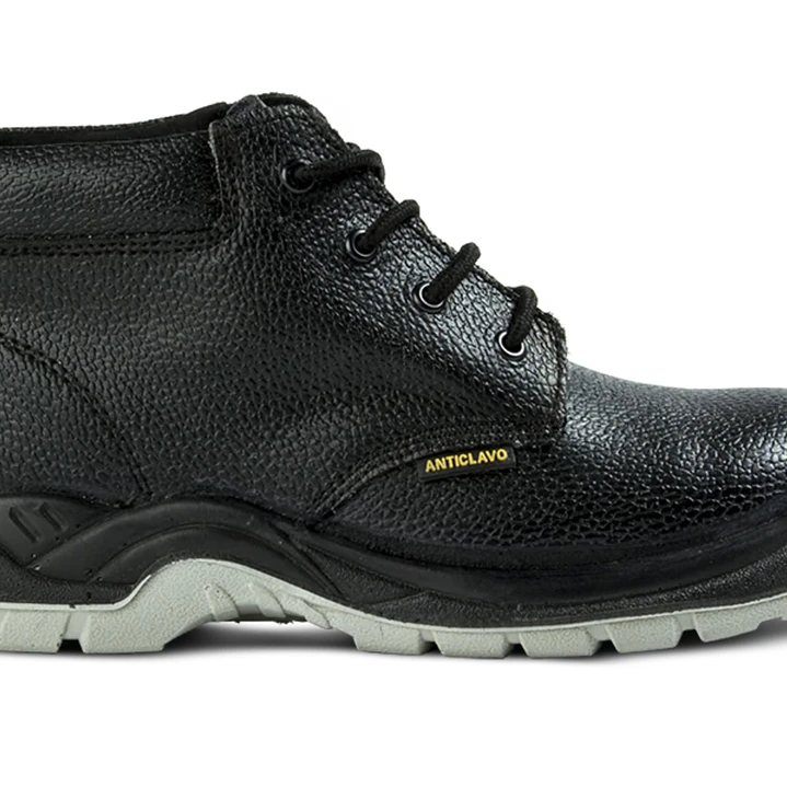 BOTIN PUELCHE ANTICLAVO 2