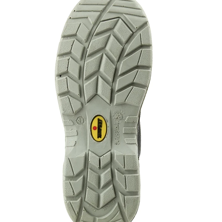 BOTIN PUELCHE ANTICLAVO 3