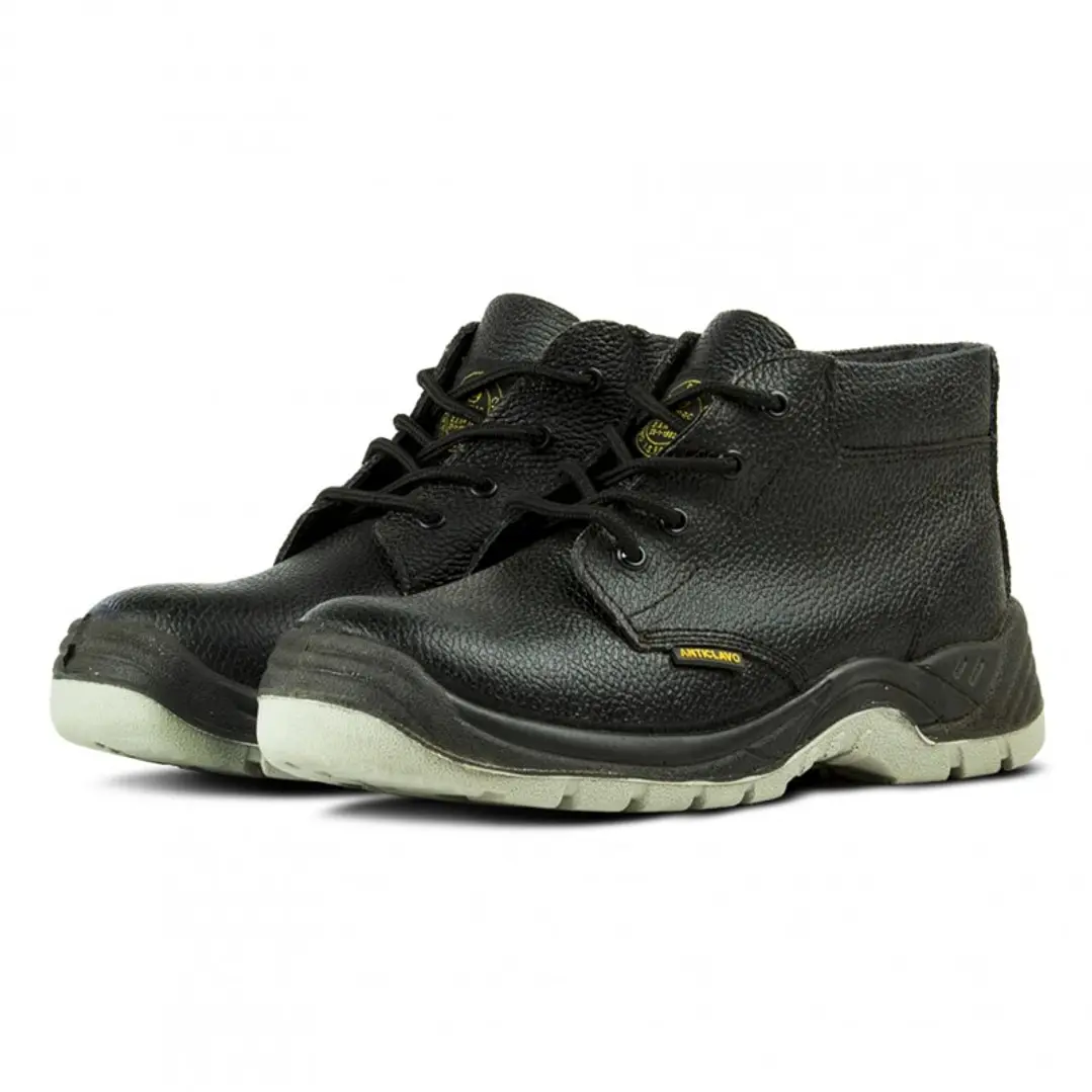 BOTIN PUELCHE ANTICLAVO 1