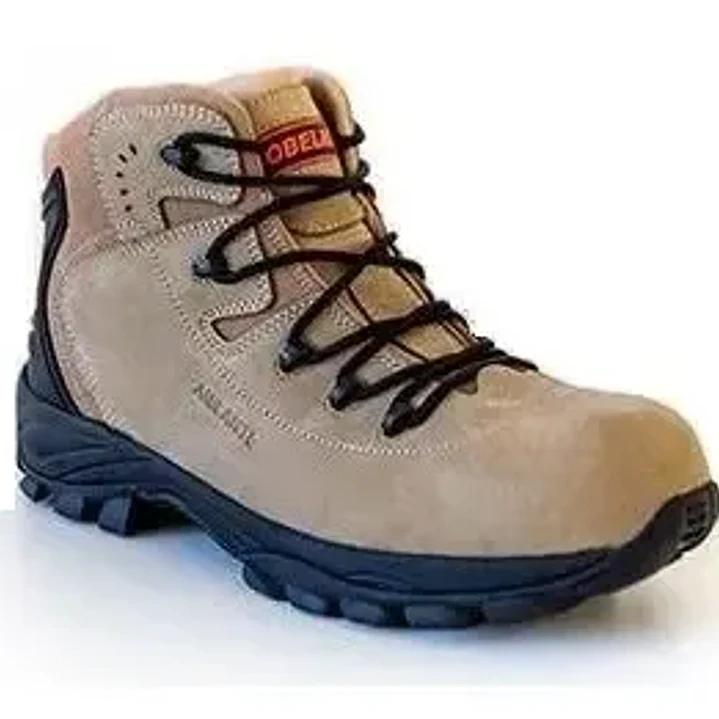 BOTIN OBELIX RN423 1