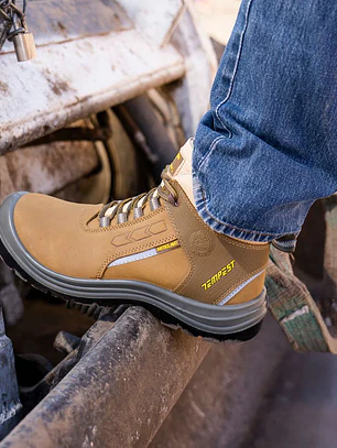 BOTIN TP 4040R ARENA TEMPEST