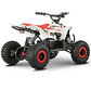 ATV E-Raptor 48 Volt - Miniatura 4