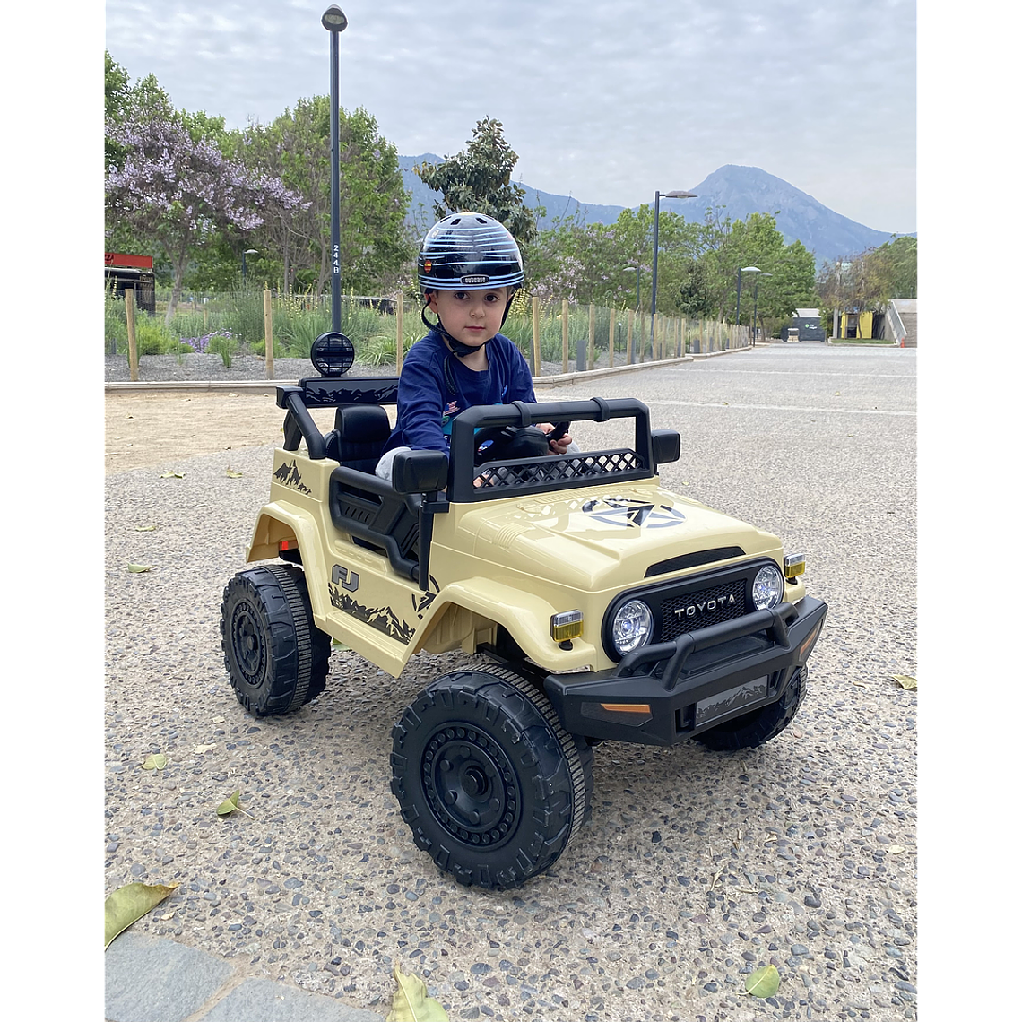 Jeep Arena Toyota Fj Crusier 12V 4