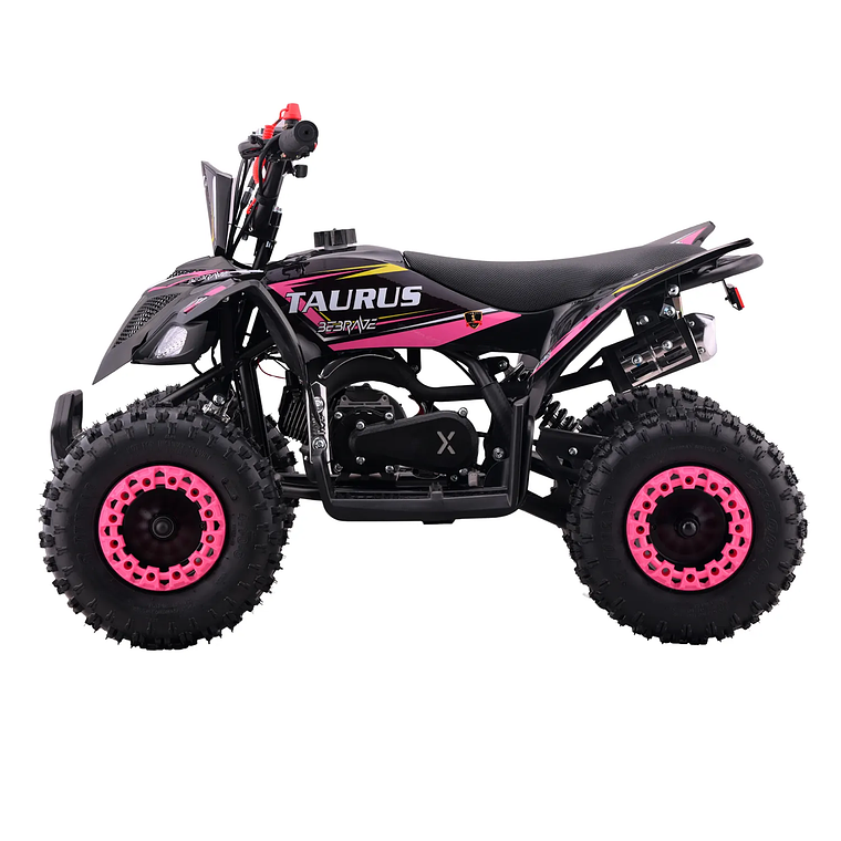 Atv Taurus Pro 49cc 3