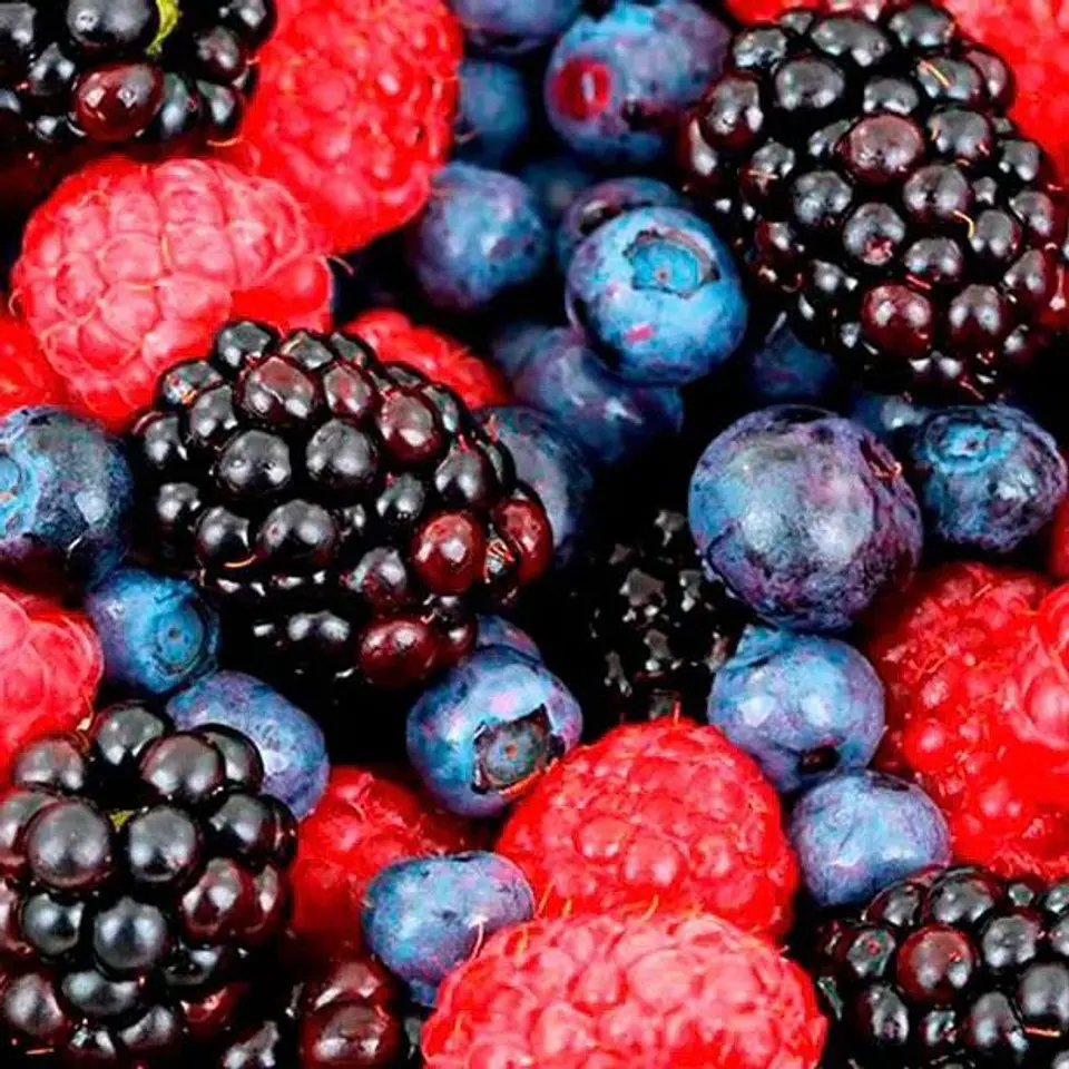 Saqueta Frutos Bosque 100ml  2